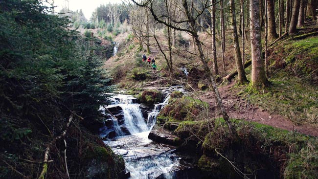 Trail Runners